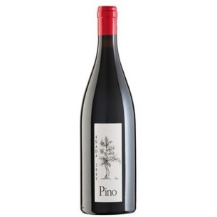 Pino 2024