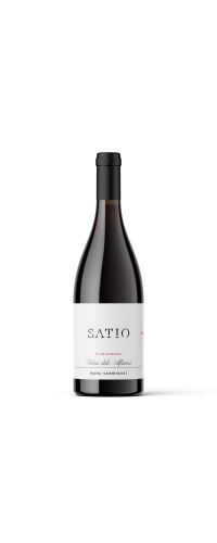 SATIO 2024