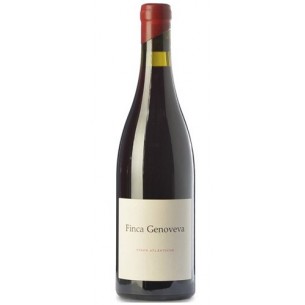 Finca Genoveva Caiño 2018