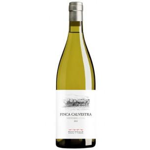 Finca Calvestra 2024