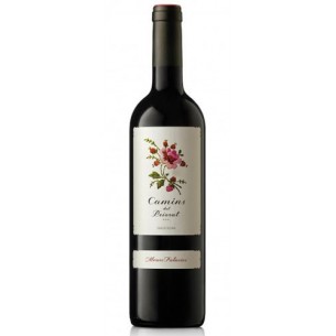 Camins del Priorat 2024
