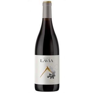 Valles Lavia Aceniche 2019