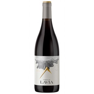 Pueblo de Lavia 2019